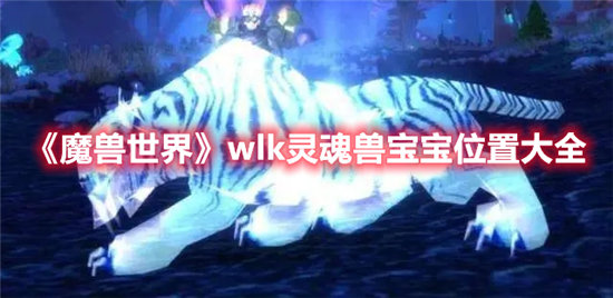 魔兽世界手游wlk灵魂兽宝宝位置大全