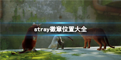 迷失手游stray徽章哪里可以找到 徽章找寻具体的位置