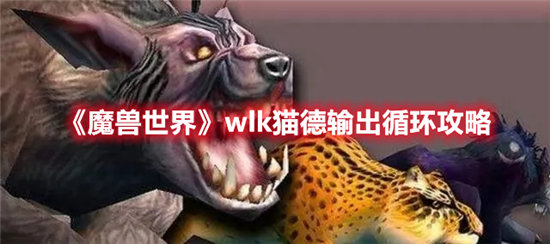 魔兽世界手游wlk猫德输出循环攻略