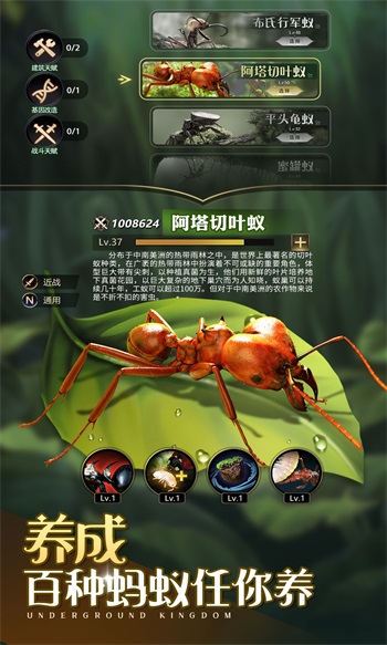 小小蚁国中文版截图