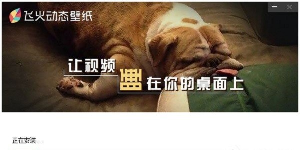 飞火动态壁纸电脑版下载截图