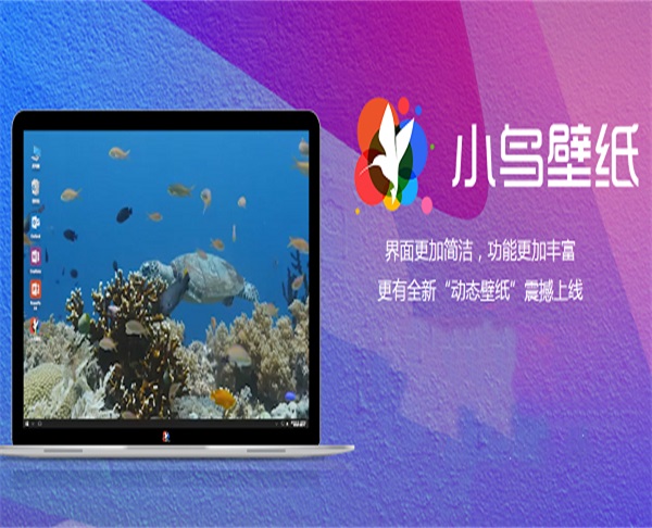 小鸟壁纸电脑版截图