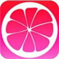 蜜柚app下载汅api免费下载免费