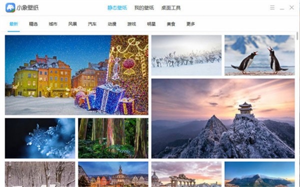 小象壁纸电脑版截图