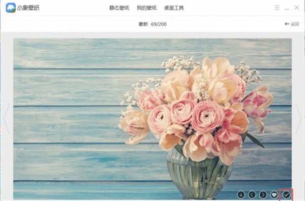 小象壁纸电脑版截图