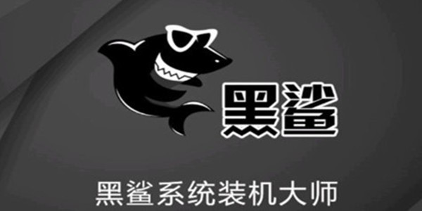 黑鲨装机大师官方版截图