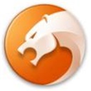 猎豹安全浏览器官方电脑版