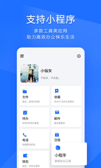 TIM苹果截图