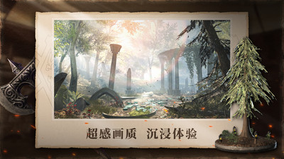 上古卷轴刀锋内购解锁版截图