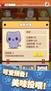 养只大肥猫安卓手游(暂未上线)截图