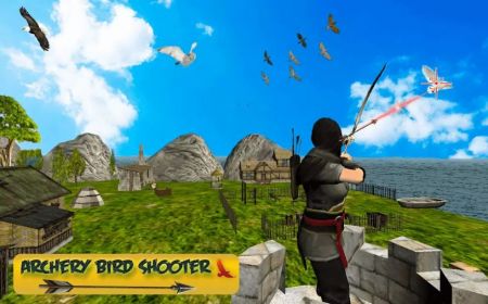 鸟狩猎疯狂Bird Hunting Mania手机版截图
