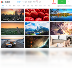 小鸟壁纸电脑解锁版截图