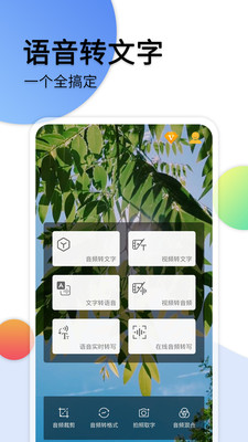 音频转文字免费版截图