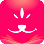 ˹v2.9 vipѰ