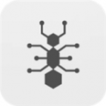 ��������v19.5���ڰ�