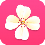 美丽衣橱v55.8企业版