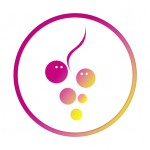 �����v98.0����޸���