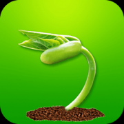 ԥũ��v55.1���ȥ����