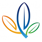 ��e����v33.9��ѹٷ���