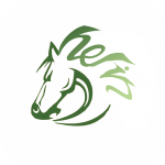 ��������v51.7��Ѵ��ڰ�