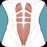 跟我练腹肌v8.7 vip免费版