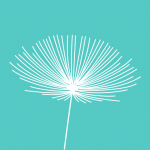 ��;v61.1ע���