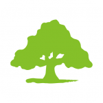 ����v3.4������