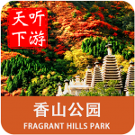 ��ɽ����v30.2����ƽ��