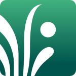 ��Խappv12.2��Ѽ������İ�