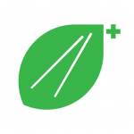 筷子网v98.1修改版