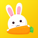 ����v80.9�����