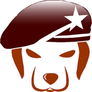 ��̹�v11.3������ð�