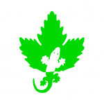 ��ɽ��TVv50.9��ʽ��