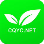 ����������v22.8������