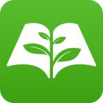 �һ���v62.4�����