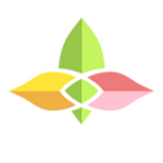 ��ѿ��v91.6���¸��˰�