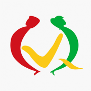 婚姻维情v91.5最新概念版