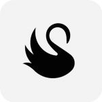 ����v6.5���º�����