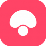 蘑菇街v31.3 vip绿色版