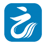 ����ѧ��v42.5���¸����