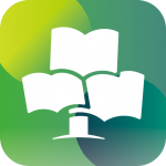 �����v27.5�����