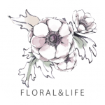 ����С��v80.0�����