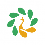 ��ȸv33.8 vip��Ѱ�