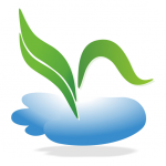 �����v74.8����ע���