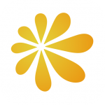 乐约健康v44.7免费单机版